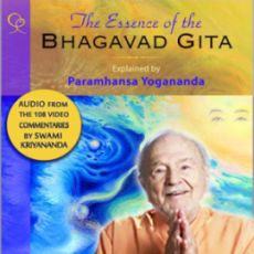 The Essence of the Bhagavad Gita Audiobook